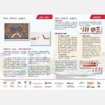 issue 11_last_version-02