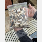 WhatsApp Image 2026-03-11 at 1.05.07 PM